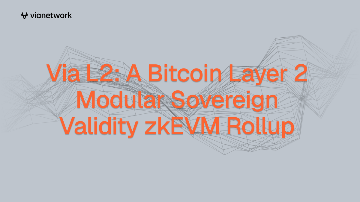 Via L2: A Bitcoin Layer 2 Modular Sovereign Validity zkEVM Rollup
