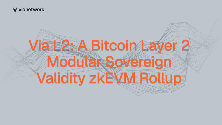 Via L2: A Bitcoin Layer 2 Modular Sovereign Validity zkEVM Rollup